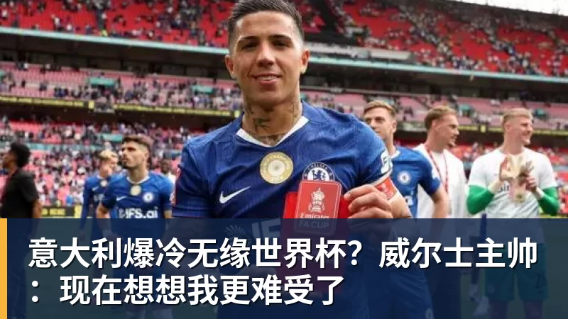 意大利爆冷无缘世界杯？威尔士主帅：现在想想我更难受了