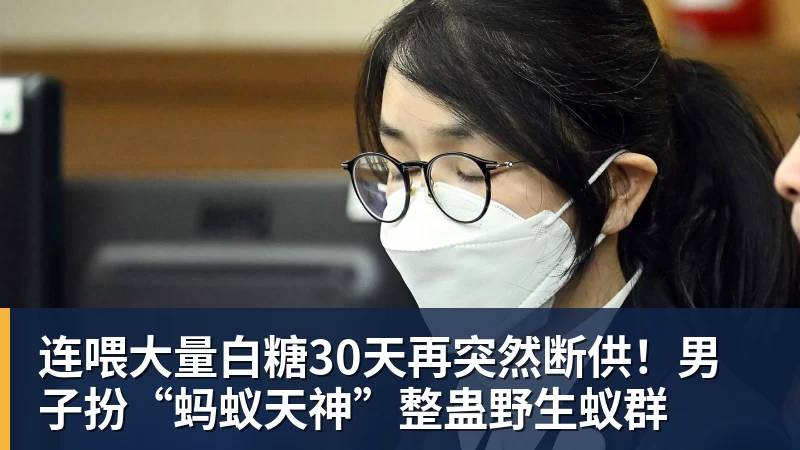 连喂大量白糖30天再突然断供！男子扮“蚂蚁天神”整蛊野生蚁群